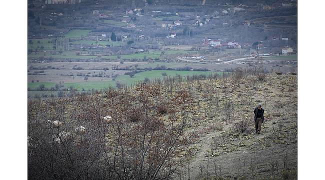Dağdaki çobanın Cumhurbaşkanı Erdoğan sevgisi