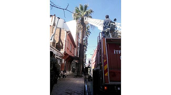 Havran&#39;da ağaçlara kış bakımı