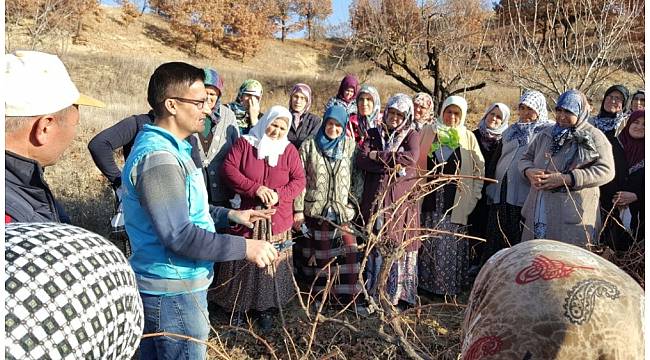 İlçenin yarısı kurs gördü