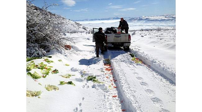 Kayseri Orman ve Su İşleri Müdürlüğü yaban hayvanları için yem bıraktı