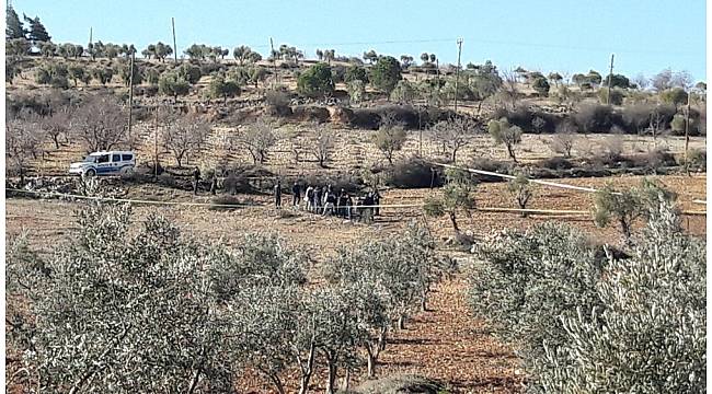Kilis'te zeytin bahçesine roket düştü