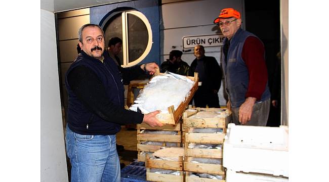 Samsun'dan Türkiye'nin dört bir yanına balık gönderiliyor