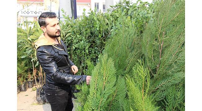 Silopi'de fidan satışlarına yoğun ilgi