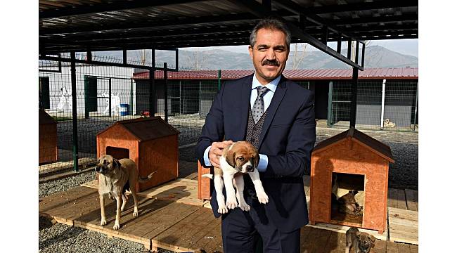 Turhal'da hayvan ambulansı hizmete giriyor