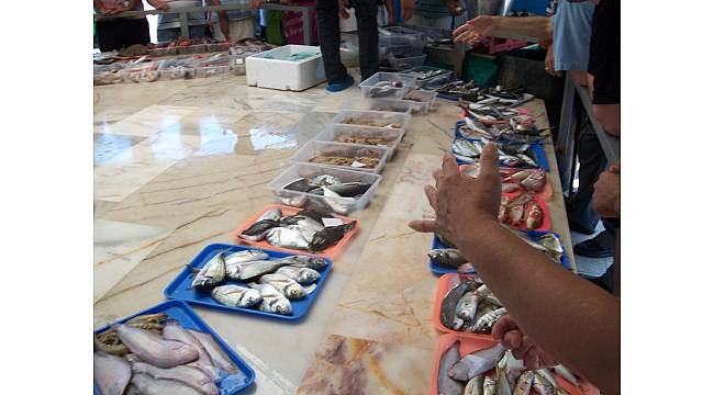Urla&#39;da deniz yüzde 95 temizlendi