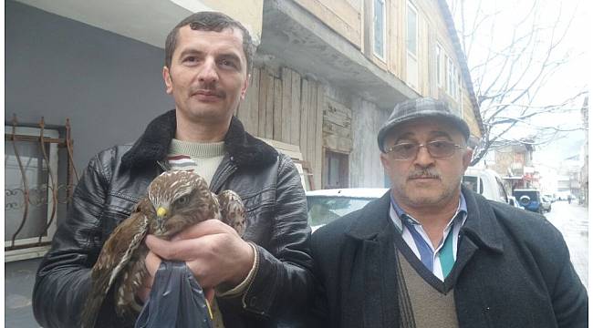 Yaralı atmacaya sahip çıktı