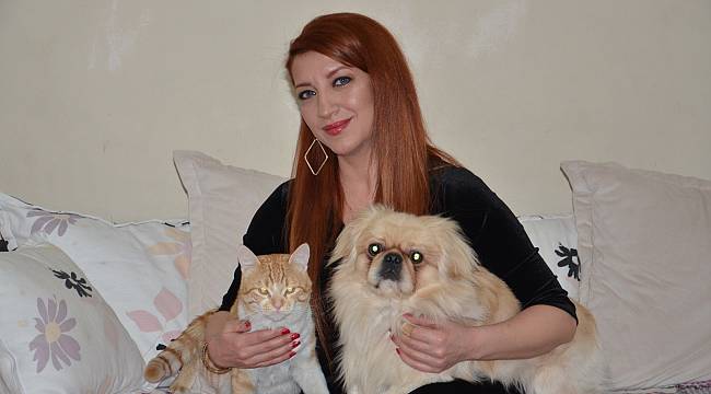 Yenier'den ‘Kış aylarında sokak hayvanlarına sahip çıkalım’ çağrısı