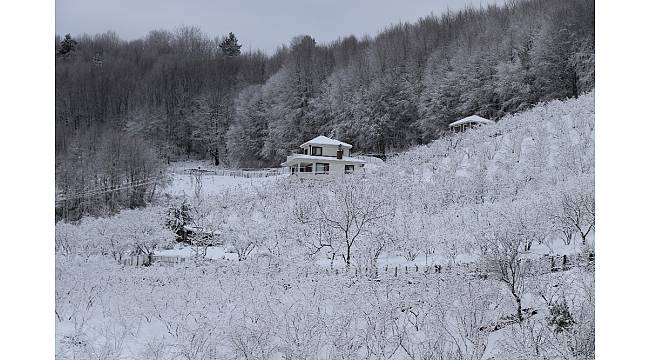 Zonguldak'ta yüksek kesimlerde kar etkili oldu