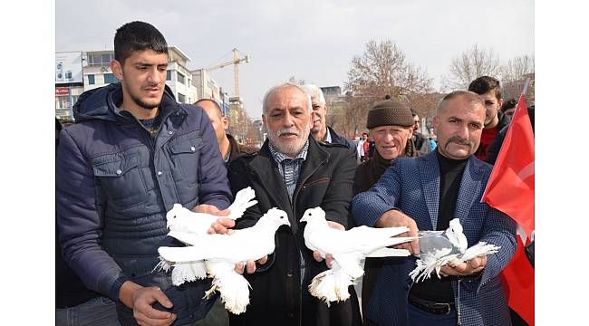 Bin güvercin Mehmetçik için havalandı