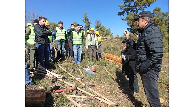 Bozdoğan'da silvikültür tatbikatı yapıldı