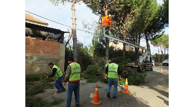 Büyükşehir ekipleri bahar bakımlarına devam ediyorş