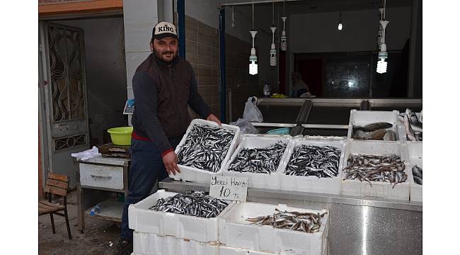 Fatsa'da yerli hamsi 10 TL'ye düştü