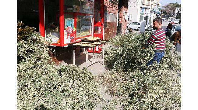 Kilisli fırıncıların 'Zeytin Dalı' telaşı