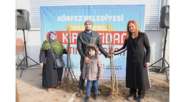 Körfez Belediyesi&#39;nden her bahçeye kiraz fidanı