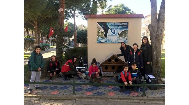 Sokak kedileri için &#39;kedi evi&#39;