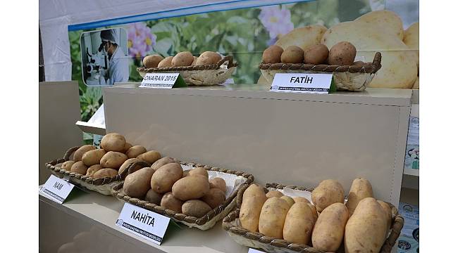 Yerli patates üreticiyle buluşacak