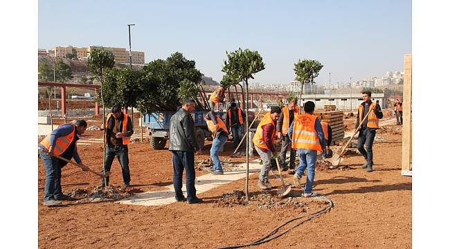 Yeşil bir Şanlıurfa için 7&#39;den 70&#39;e seferberlik