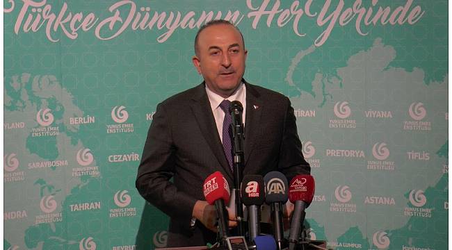 Dışişleri Bakanı Çavuşoğlu, Yunus Emre Enstitüsü açılış törenine katıldı