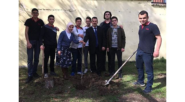 Dünyada bir dikili ağaçları oldu