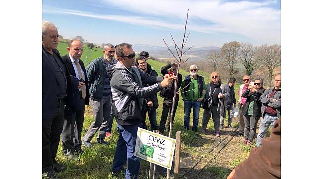 İzmit Belediyesi&#39;nden meyve yetiştiriciliği eğitimi