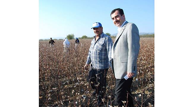 Milletvekili Erdem'den pamuk üreticisine 'şeffalık' müjdesi