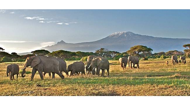 Prof. Dr. Öztürk, dört kıtada çektiği yaban fotoğraflarını metroda sergileyecek