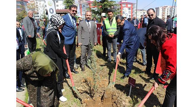 '52 Zeytin Dalı Şehidi' için 52 zeytin fidanı diktiler
