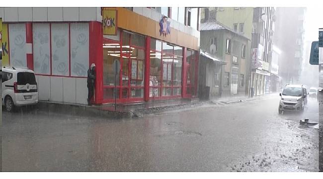 Ağrı'da dolu etkili oldu