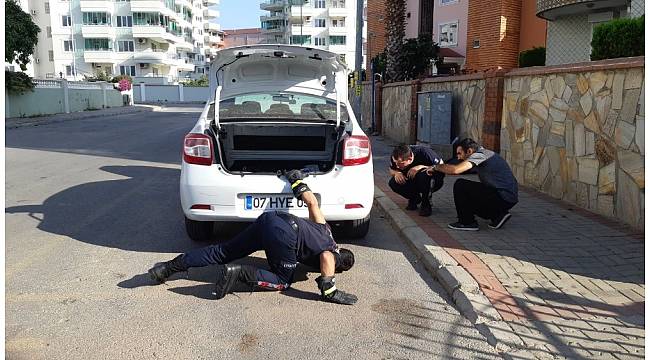 Alanya'da yılan paniği