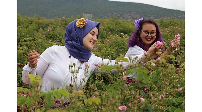 Ardıçlı Köyüne turist akını devam ediyor