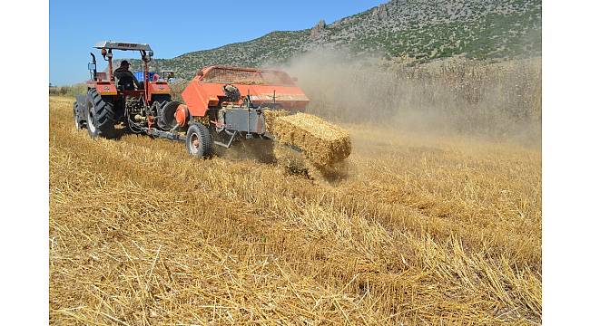 Çukurova'da saman balyalama mesaisi başladı