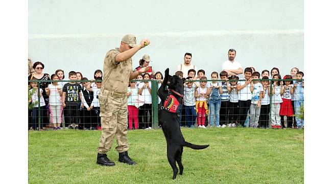 Jandarma erzak tespit köpeği 'Bahis' öğrencilerin gözdesi oldu