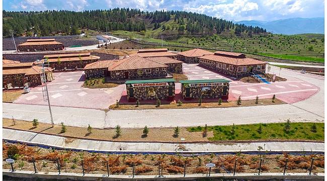 Malatya'da 4 ayda 194 başıboş hayvan sahiplenildi