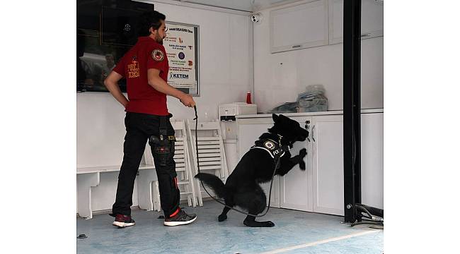 Narkotik Eğitim Tırı Afyonkarahisar'da