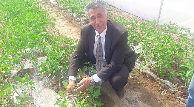 SODES projesi kapsamında ekilen sebzeler ilk mahsulü verdi