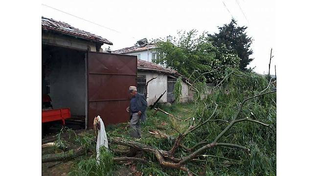 Tekirdağ'da hortum mahalleyi yerle bir etti