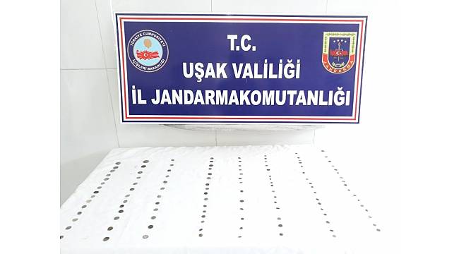 Uşak'ta tarihi eser operasyonu