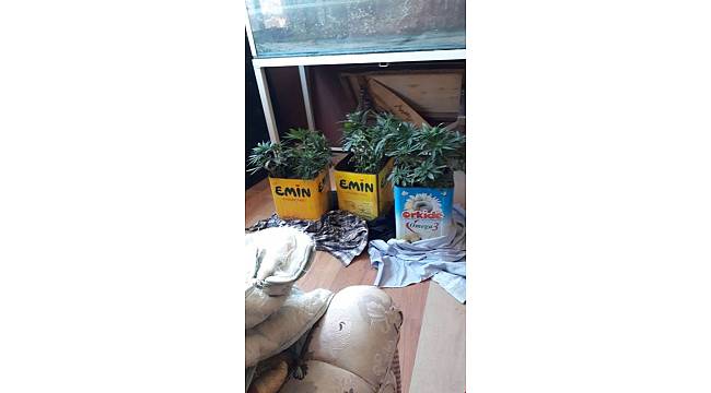 Uyuşturucu üreten ve satan 3 kişi tutuklandı