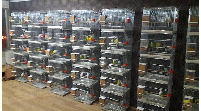 60 Bin TL'lik malzeme çalan 3 şüpheli yakalandı