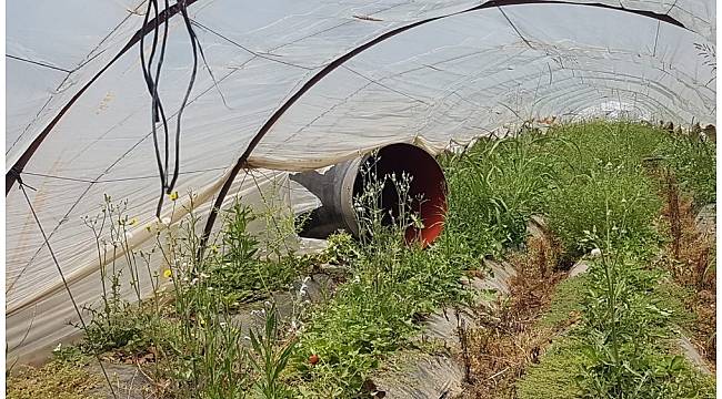 Antalya'da yoldan çıkan tırdaki borular çilek tarlasına düştü