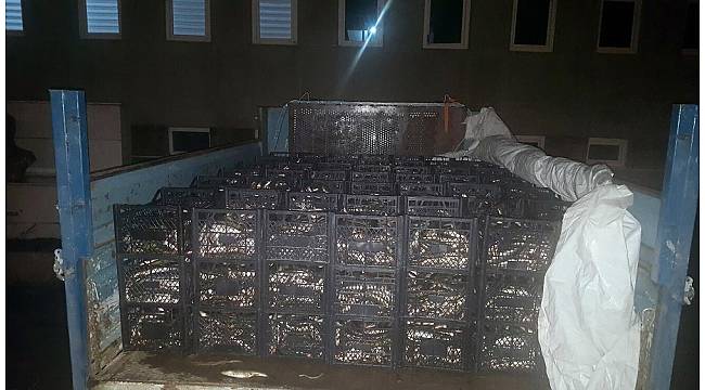 Bitlis'te kaçak avlanmaya geçit yok