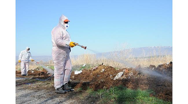 Çorum Belediyesi&#39;nde vektörel mücadele mesaisi