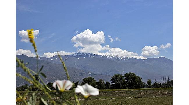 Erzincan'a haziranda kar yağdı