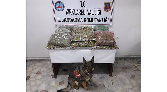 Kırklareli'nde suç örgütüne dev operasyon: 9'u memur 32 gözaltı