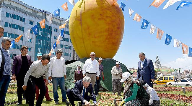 Malatya rengarenk çiçeğe büründü
