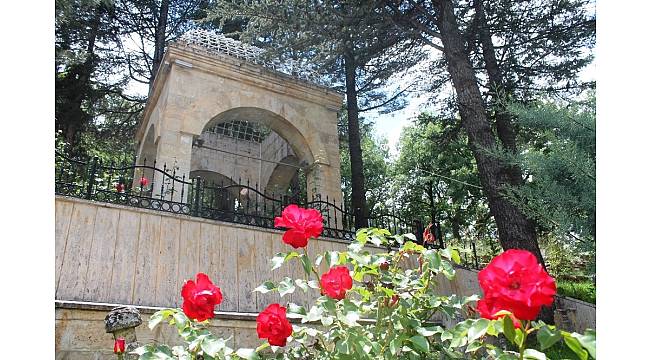 Muhammed Hadimi Hazretleri Türbesi'ne ziyaretçi akını