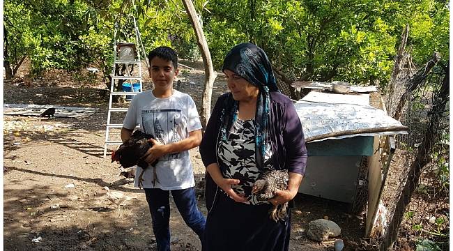 Yeni keşfettiği tavuk ırkına annesinin adını verdi