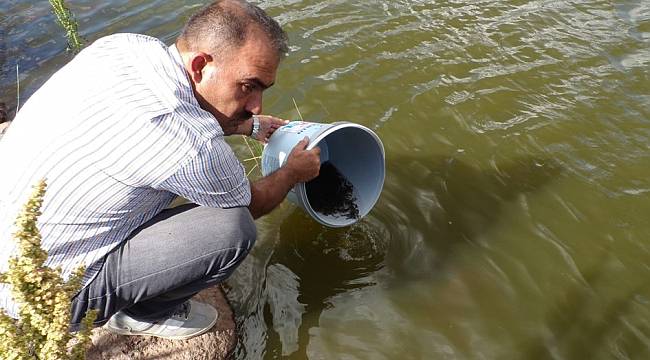 Göletlere 110 bin yavru balık bırakıldı