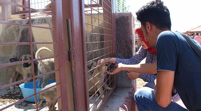Kent Konseyi gönüllülerinden merhamete davet