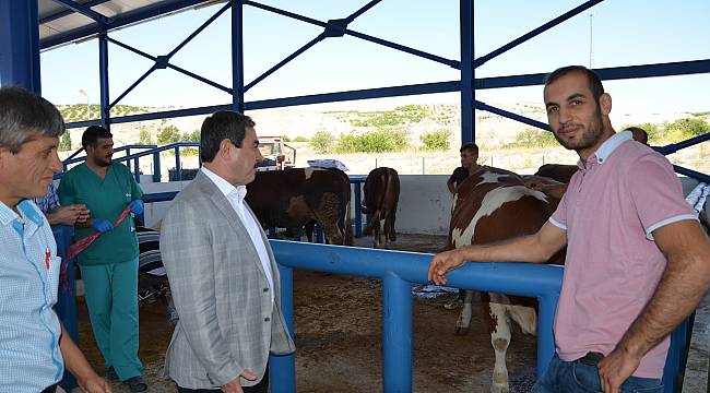 Başkan Eser kurban pazarında incelemelerde bulundu